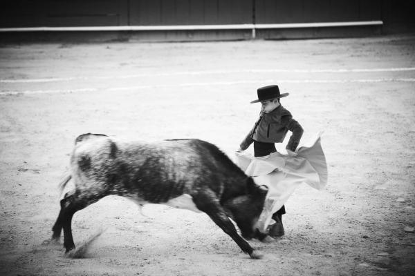 Победители фотоконкурса Sony Photography Awards 2017 (ФОТО)