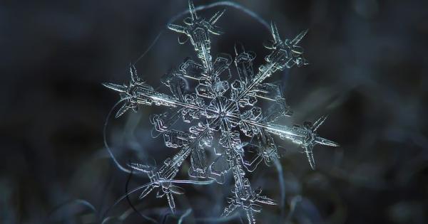 Несколько снимков, показывающих необычную красоту нашего мира (ФОТО)