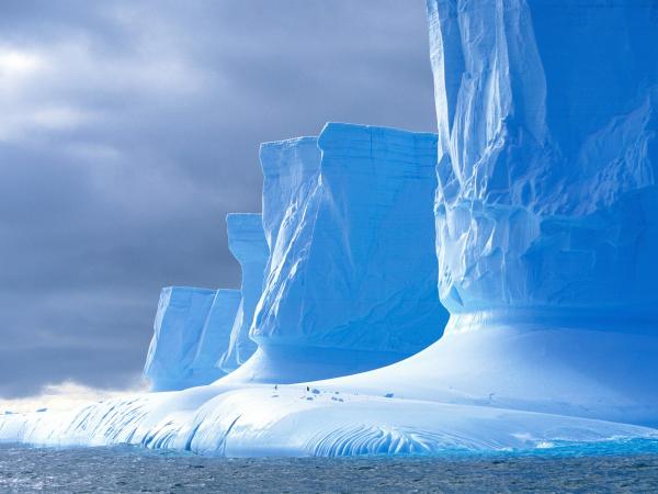 15 фотографий, после просмотра которых вам захочется посетить Антарктиду (ФОТО)