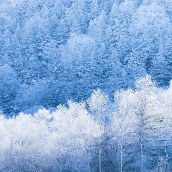 Живописная Япония в фотографиях, которые больше похожи на картины (ФОТО)