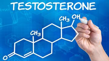 Ученые рассказали о влиянии тестостерона на жизнь человека
