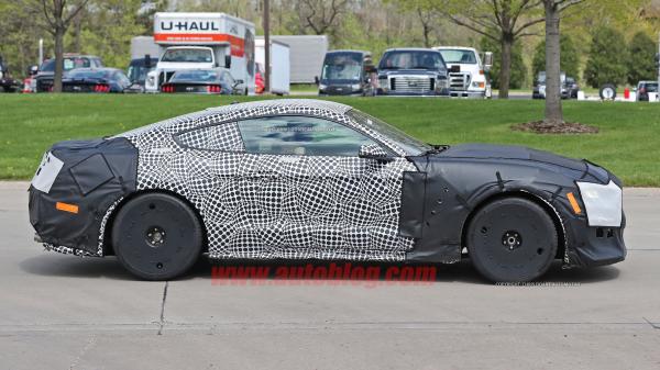 Маслкар Ford Shelby GT500 замечен на тестах (ФОТО)