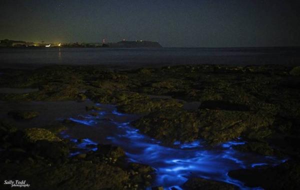 Волшебница-Природа: Мистическое свечение у берегов Тасмании очаровывает туристов (ФОТО)