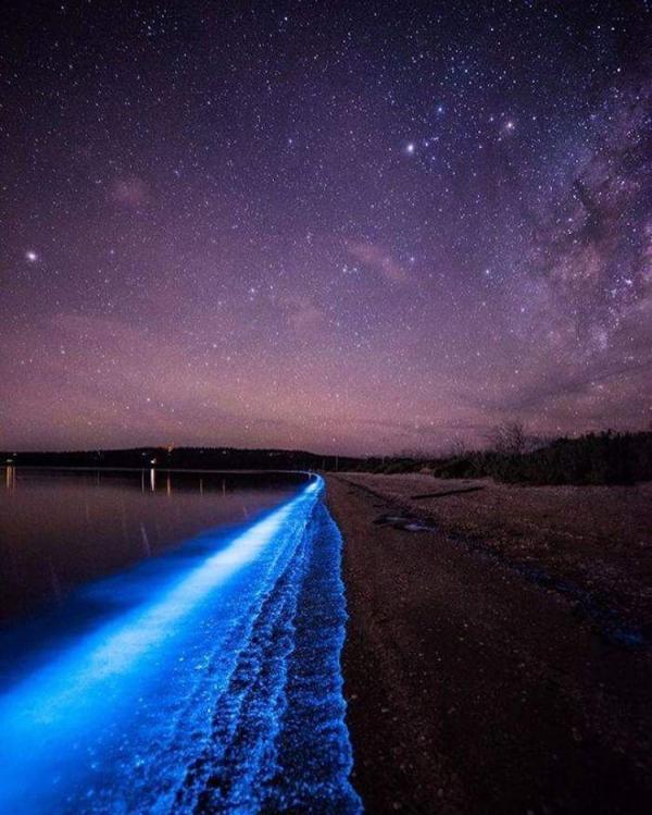 Волшебница-Природа: Мистическое свечение у берегов Тасмании очаровывает туристов (ФОТО)