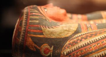 В Киево-Печерском заповеднике случайно нашли древнеегипетские мумии и саркофаги