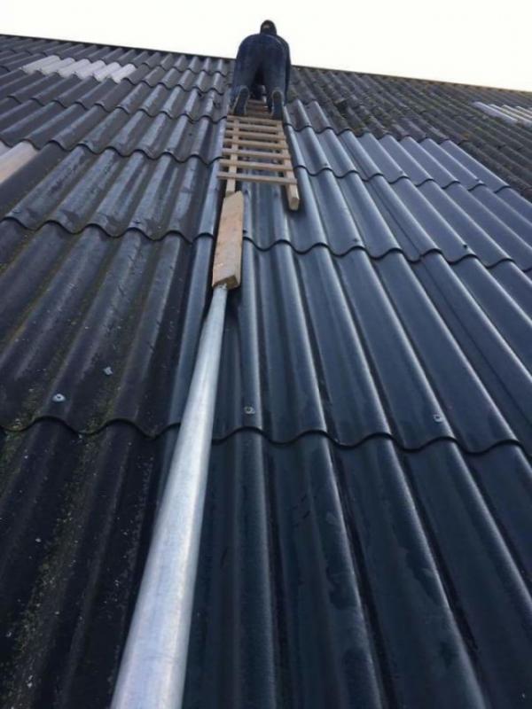 10 причин, почему женщины живут дольше мужчин (ФОТО)