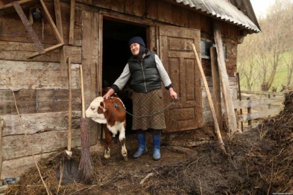 Джамана - румынская деревня, затопленная ядовитыми отходами (ФОТО)