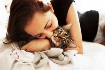 Ученые рассказали, почему не стоит обниматься с кошками 