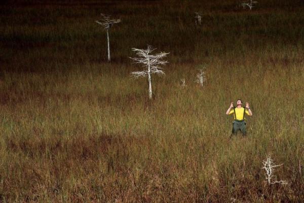«Жизнь мужчины после развода»: первая фотосессия Бреда Питта после развода с Анджелиной Джоли (ФОТО) 