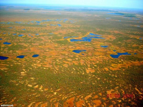 Здесь не ступала нога человека: самое огромное болото в мире (ФОТО)