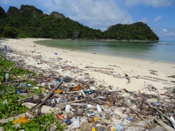 Куда уходит мусор? Обнаружен самый загрязненный на Земле остров (ФОТО)