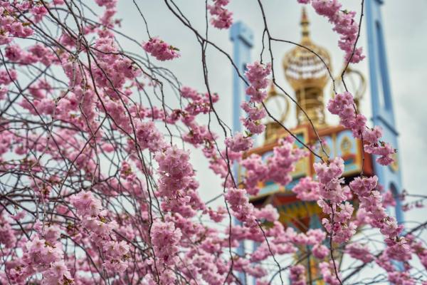 Путешествие в сказку: как выглядит лучший городской парк в Европе  (ФОТО)