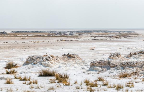 Инопланетные кадры: самые красивые солончаки мира (ФОТО)