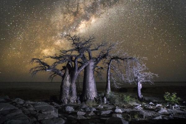 Инопланетные кадры: самые красивые солончаки мира (ФОТО)