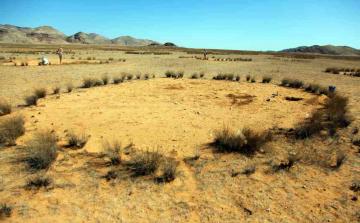 Ученым удалось разгадать тайну “волшебных кругов” в Намибии (ФОТО)
