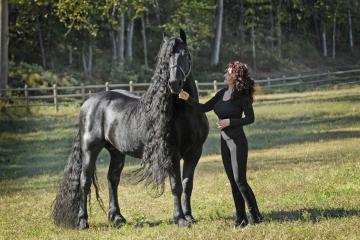 Фридрих Великий – самый красивый конь в мире (ФОТО)