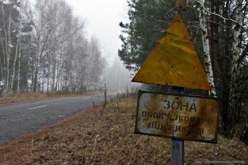 На территории Чернобыля создали биосферный заповедник