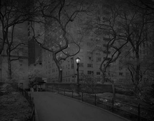 Мрачные фотографии безлюдного Центрального парка Нью-Йорка (ФОТО)
