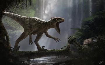 Ученым удалось узнать, как динозавры эволюционировали в птиц