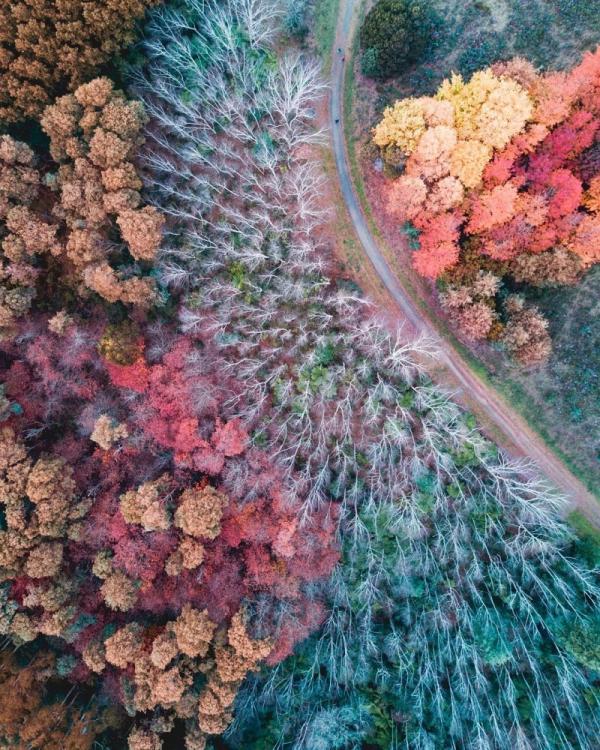 Удивительные красоты Австралии на снимках талантливого фотографа из Мельбурна (ФОТО)
