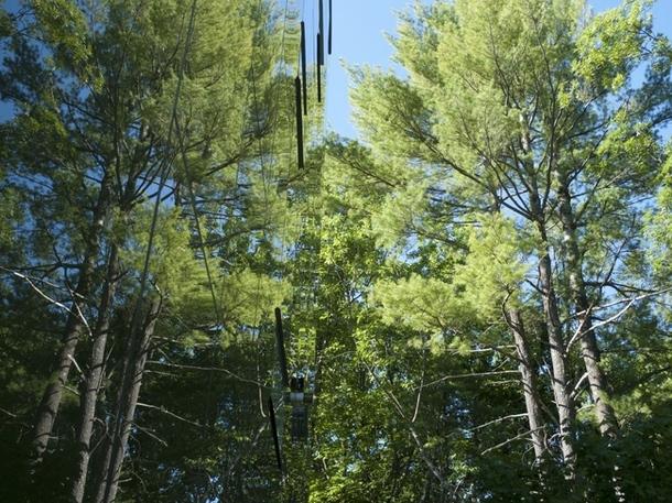 Необычная форма: Современная башня для отдыха в лесу (ФОТО)