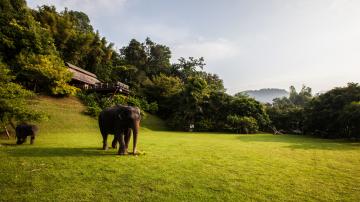 Интеграция с природой: Hill Lodge — отель в джунглях Таиланда (ФОТО)