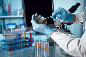 Ученые нашли «переключатель», который отвечает за рост опухолей