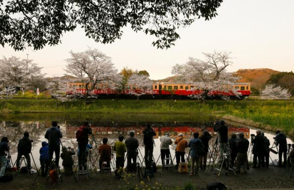 Страна восходящего солнца: снимки повседневной жизни в Японии (ФОТО)