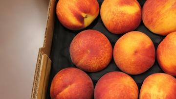 Фрукт сезона: на рынках подешевели персики