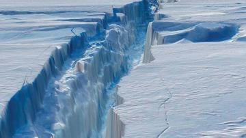 В ближайшее время от Антарктиды отколется гигантский айсберг, - ученые
