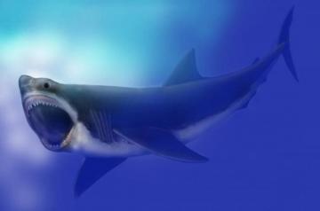 Ученые объяснили, из-за чего вымерли гигантские доисторические акулы