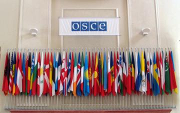 ПА ОБСЕ приняла резолюцию о восстановлении суверенитета Украины