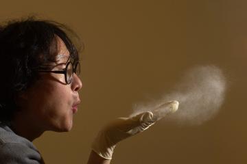 Домашняя пыль может вызвать ожирение, - ученые