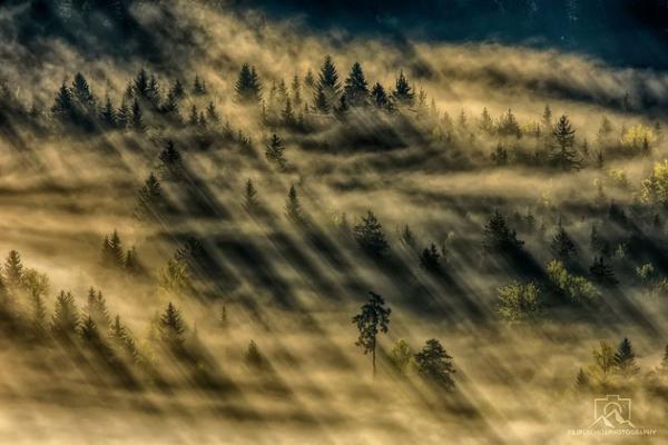 Красоты Европы: фотограф снимает сказочные пейзажи Словении (ФОТО)