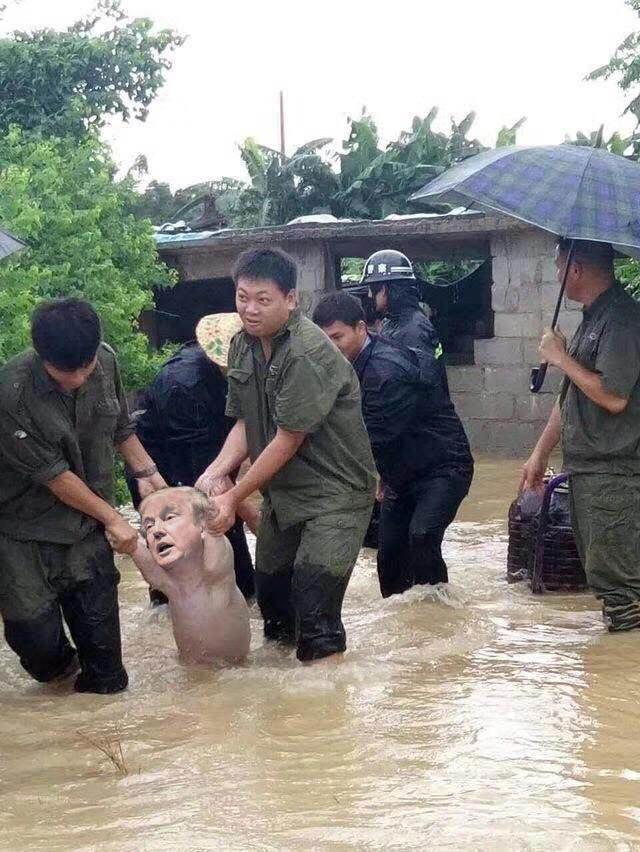Счастливая свинья, спасенная от наводнения, стала новой звездой Сети (ФОТО)