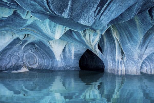 Завораживающие снимки: лучшие работы фотоконкурса от National Geographic (ФОТО)