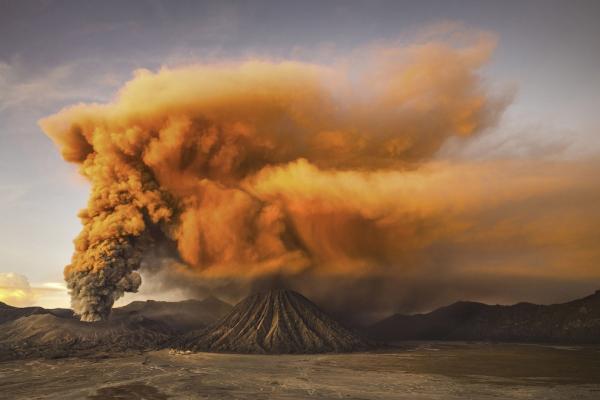 Завораживающие снимки: лучшие работы фотоконкурса от National Geographic (ФОТО)