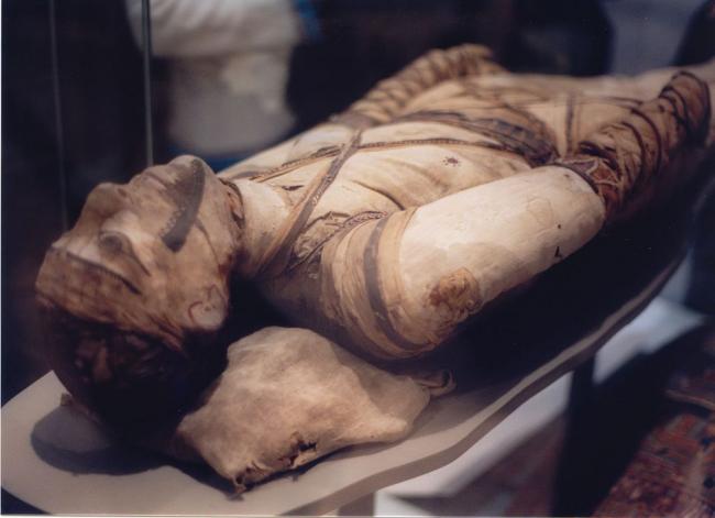 Ученые нашли паразитов в 375-летней мумии