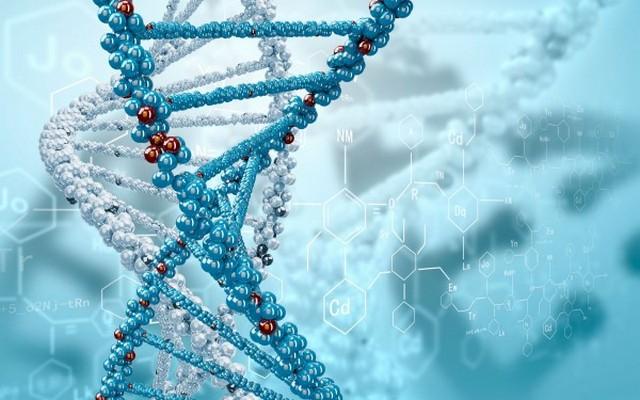 Учёные разработали способ коррекции ДНК на этапе эмбриона человека