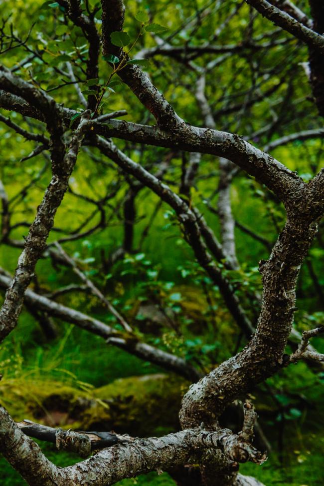 Глазами фотографа: нереальные природные текстуры Исландии (ФОТО) 