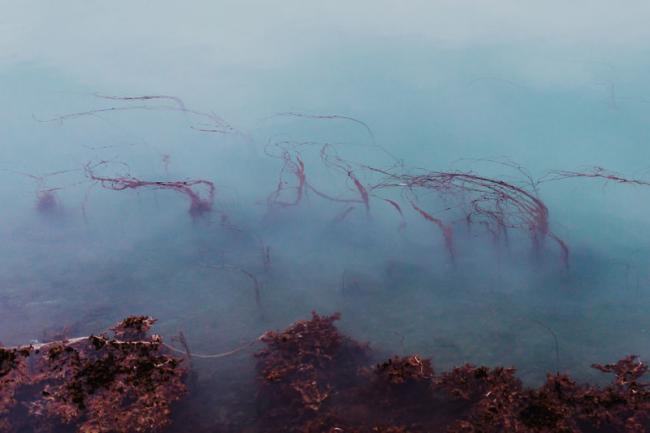Глазами фотографа: нереальные природные текстуры Исландии (ФОТО) 