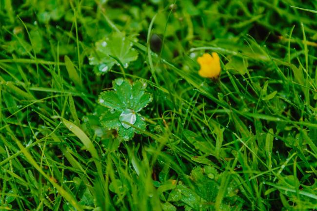 Глазами фотографа: нереальные природные текстуры Исландии (ФОТО) 