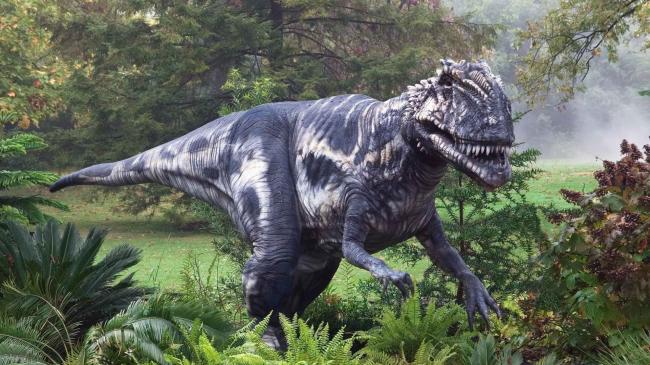 Учёные: Динозавры могли лечить друг друга