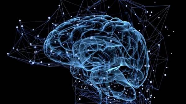 Ученые: Синхронизация полушарий позволяет ускорить работу мозга