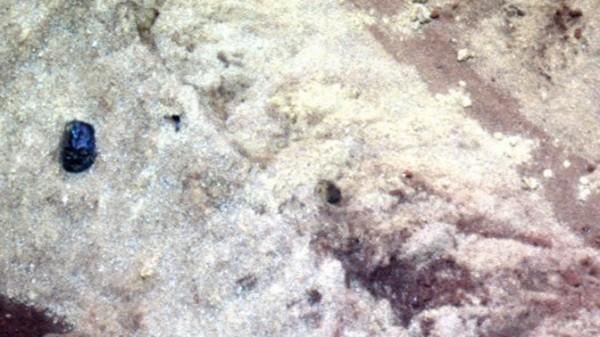 Уфологи обнаружили на Марсе голову Дарта Вейдера (ФОТО)
