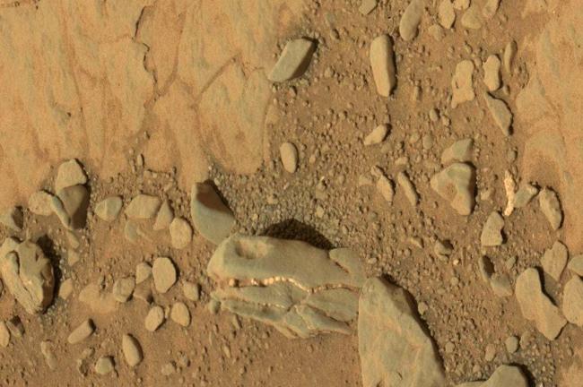 На Марсе удалось обнаружить останки динозавров (ФОТО)