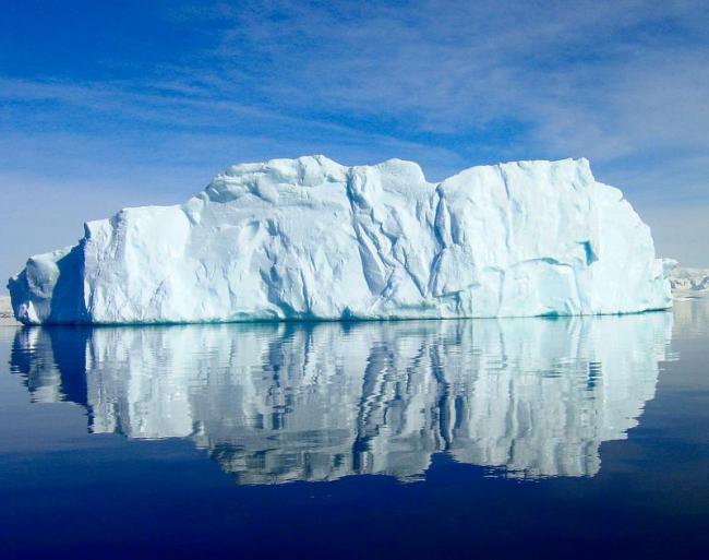 Ученые: отколовшийся от Антарктиды айсберг открыл уникальную жизнь