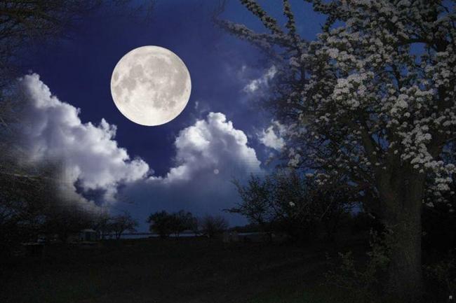 Ученые нашли связь между грозами и активностью Луны