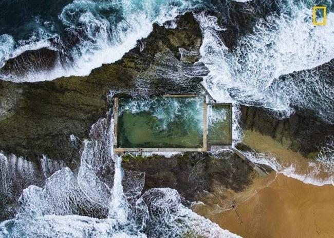 Фотоконкурс National Geographic: лучшие в мире снимки живой природы (ФОТО)