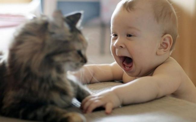 Ученые: кошки способны уберечь новорожденного от астмы